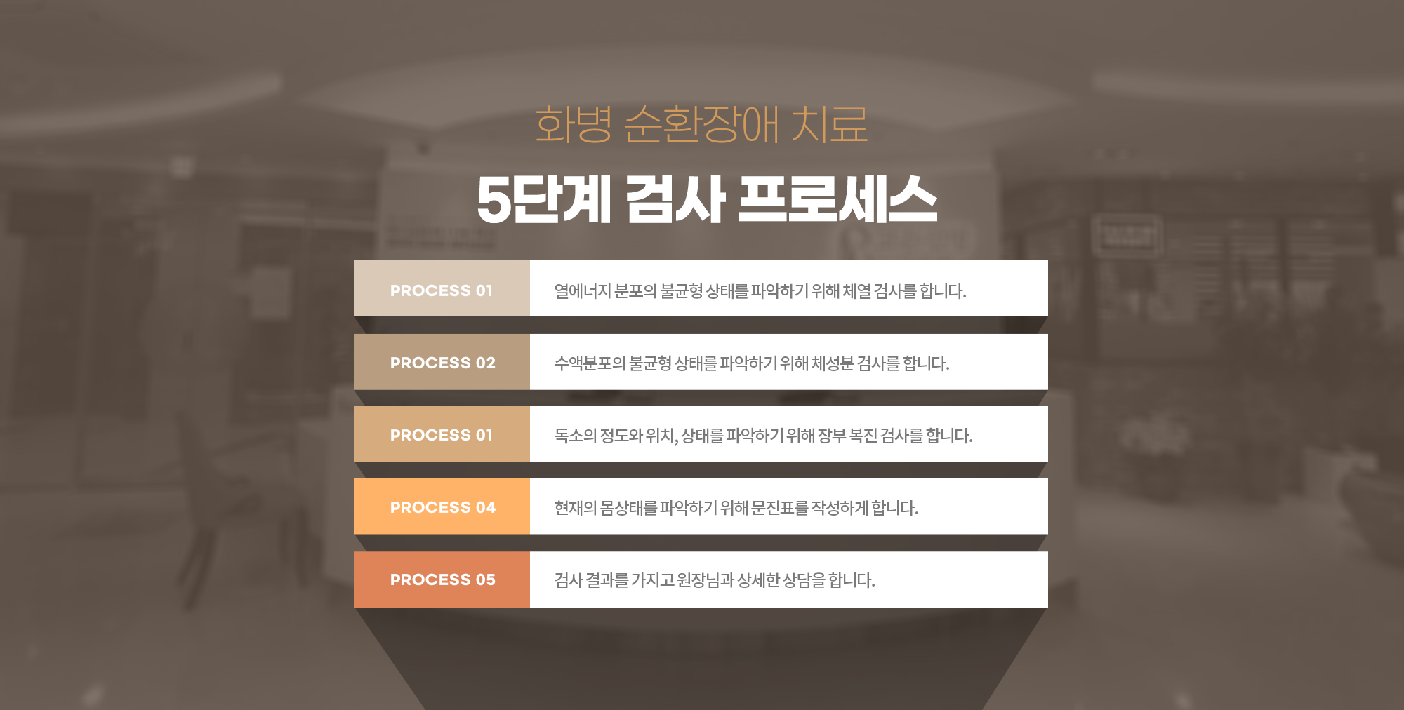 화병 순환장애 치료 5단계 검사 프로세스
